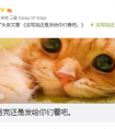  Dota2,狐貍媽微博：我很勇敢 曾經想過要去自殺
