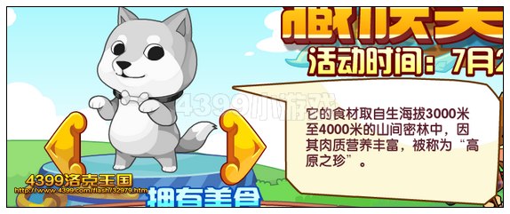 洛克王國柴可司機