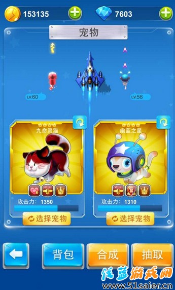 寵物