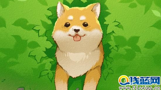 《柴犬夢(mèng)太郎》封面
