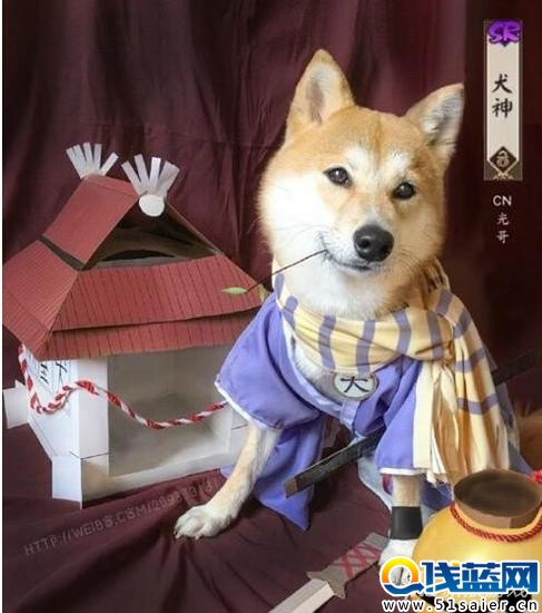 《陰陽師》手游故事 日版浩南和山雞?