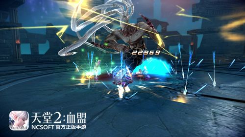 天堂2血盟