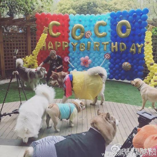 她才是王思聰最愛的網紅，16任女友都比不上她！