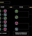 榮耀戰(zhàn)魂排名系統(tǒng) 6.29啟動公共測試