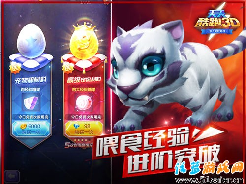 呆萌多姿 《天天酷跑3D》寵物系統解析