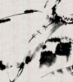 死亡原因TOP榜：花樣死法你又占了幾條
