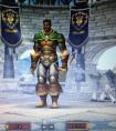 爐石傳說玩家進(jìn)軍WOW魔獸世界！