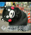 天涯明月刀寵物坐標 杭州寵物坐標
