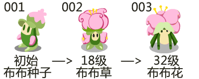 賽爾號布布種子