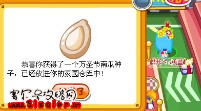 南瓜種子