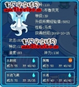 這只布魯克克刷特攻和什么好？