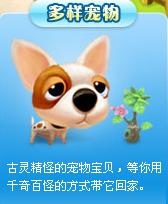 哈奇小鎮(zhèn)寵物