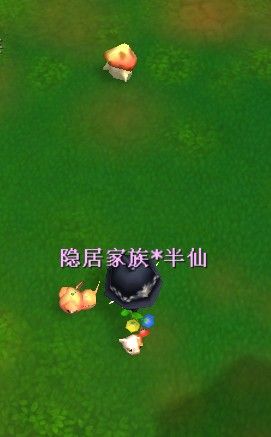 哈奇小鎮抓蘑菇