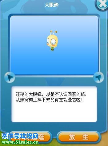 大眼蜂