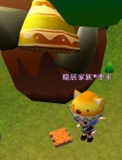 哈奇小鎮(zhèn)蜂窩結晶