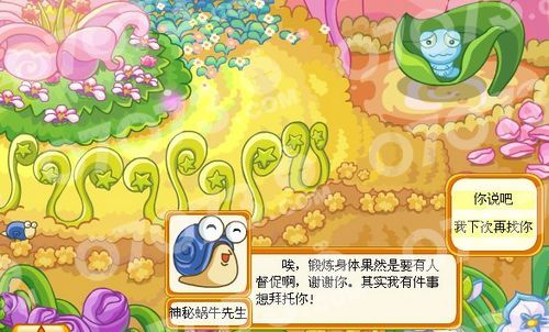 摩爾莊園神秘菊花種子