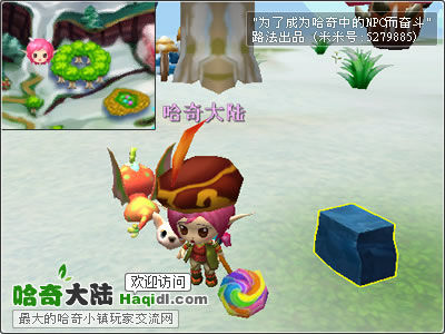 哈奇小鎮(zhèn)魔法密林 石頭