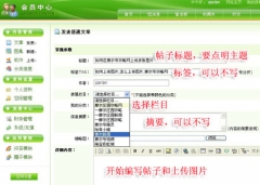 如何在賽爾號攻略網上傳多張圖片