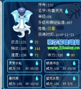 全球首發(fā)！布魯克克新技能！！