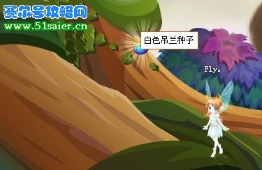 白色吊蘭種子