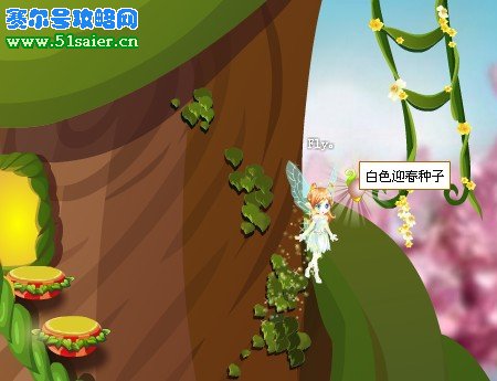 小花仙白色迎春花種子