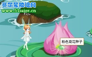 粉色荷花種子