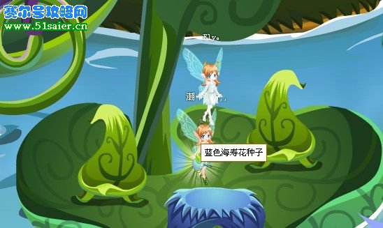 藍色海壽花種子