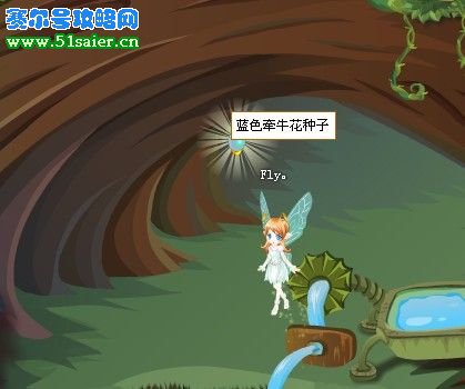 藍色牽牛花種子