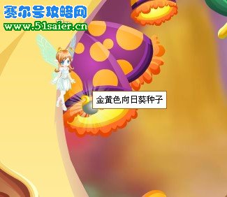 金黃色向日葵種子