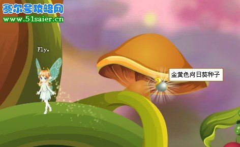 金黃色向日葵種子