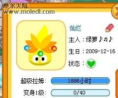 第五階段3.jpg