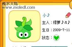 普通拉姆.jpg