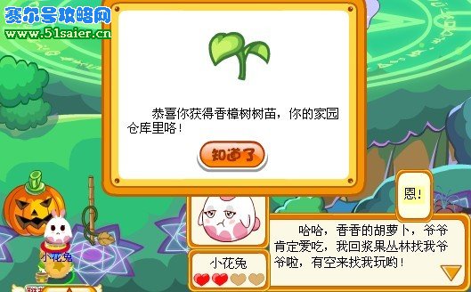 摩爾莊園香樟樹樹種