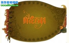 小花仙鮮花百科 博物館的種植寶典