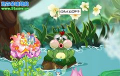 小花仙水仙花種子