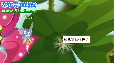 小花仙紅色水仙花種子