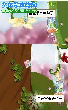 小花仙常青藤種子