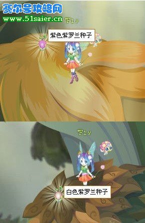 小花仙紫羅蘭種子