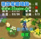 精靈牧場怎么種出紫果菜