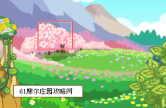 摩爾莊園櫻花樹苗攻略