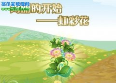 小花仙虹彩花 彩虹花？