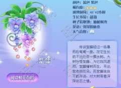 小花仙紫藤種子在哪里,小花仙紫藤花種子位置圖示