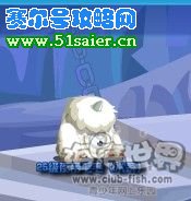 彩虹城怎么抓到夜帝毛毛