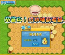 奇客島捕鼠總動(dòng)員小游戲攻略,奇客島老鼠怎么捕,奇客島捕鼠攻略