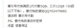 小楓代練 改版了 速度快了 價格不變