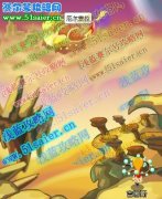 賽爾號(hào)披著七色光羽的精靈在哪怎么打,賽爾號(hào)打厄爾塞拉攻略