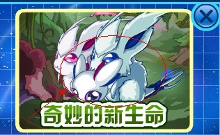 奇妙的新生命