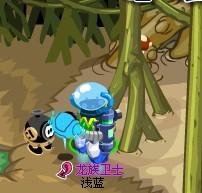 小蘑菇在哪