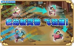 我的新靈獸——飛羽雛！
