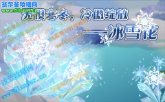 小花仙冰雪花 貝爾花的雪人裝 安德魯的美容院